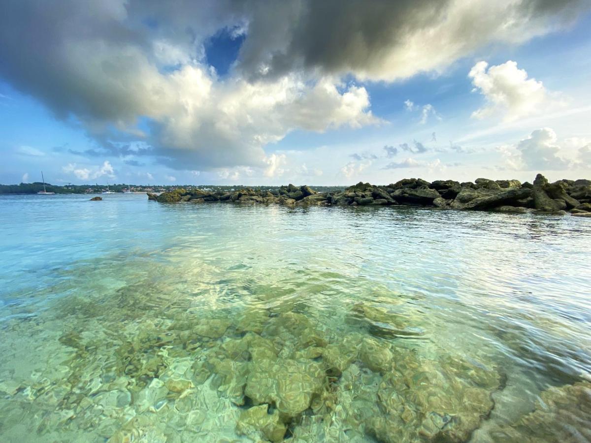 Le Paradis Zen 1Er Etage Et Rdc Vue Plage Et Mer Ste Anne サンタンヌ エクステリア 写真