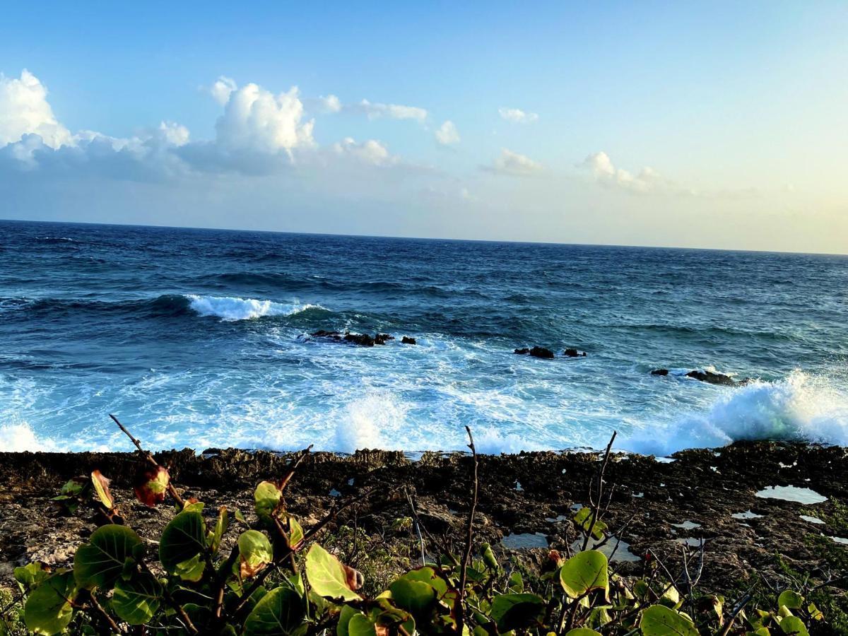 Le Paradis Zen 1Er Etage Et Rdc Vue Plage Et Mer Ste Anne サンタンヌ エクステリア 写真