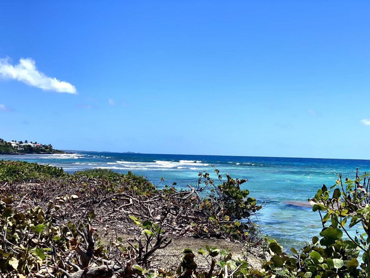 Le Paradis Zen 1Er Etage Et Rdc Vue Plage Et Mer Ste Anne サンタンヌ エクステリア 写真