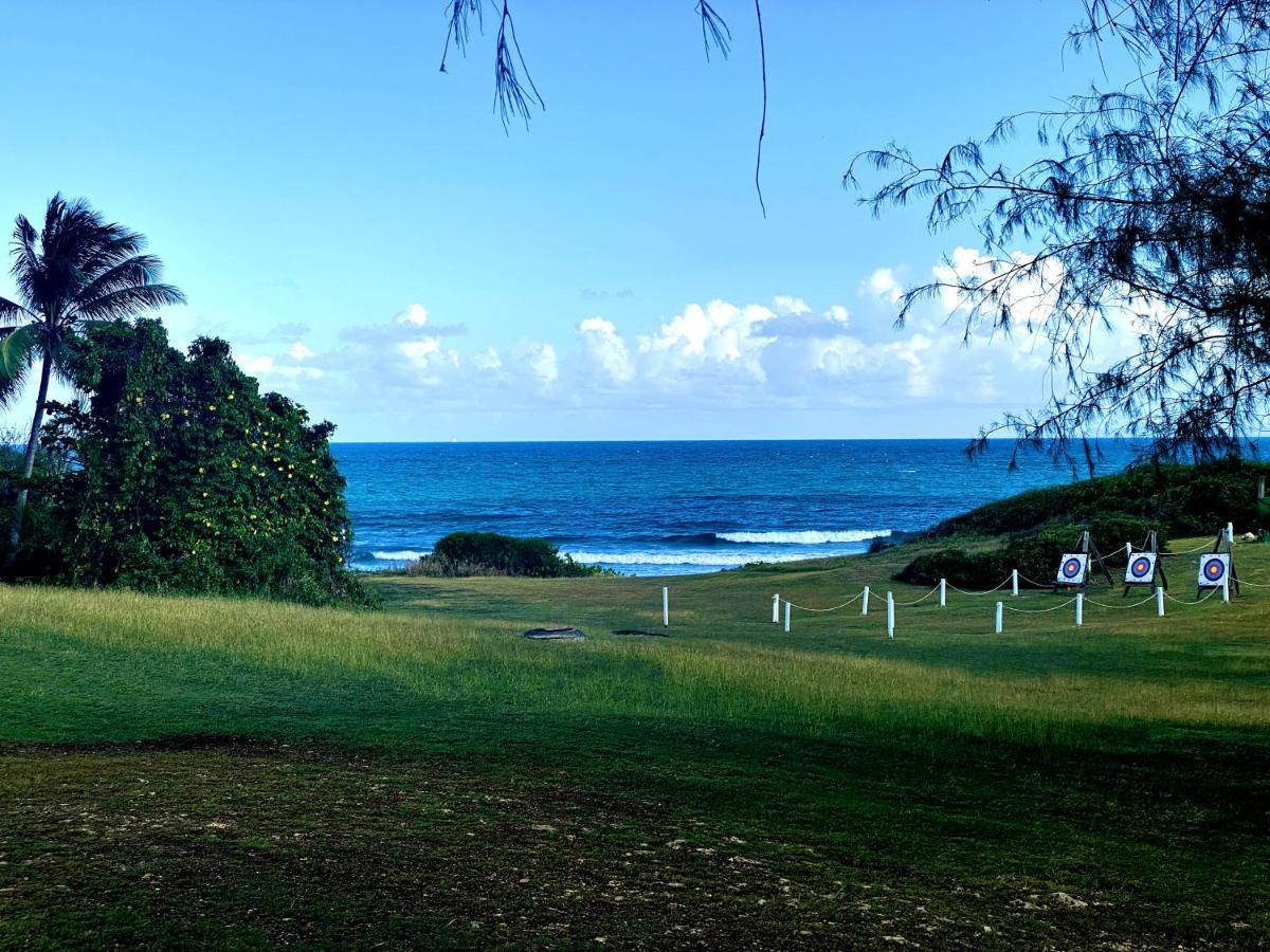 Le Paradis Zen 1Er Etage Et Rdc Vue Plage Et Mer Ste Anne サンタンヌ エクステリア 写真