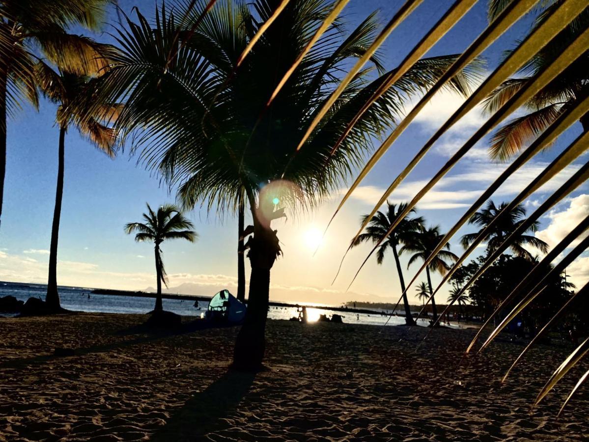 Le Paradis Zen 1Er Etage Et Rdc Vue Plage Et Mer Ste Anne サンタンヌ エクステリア 写真