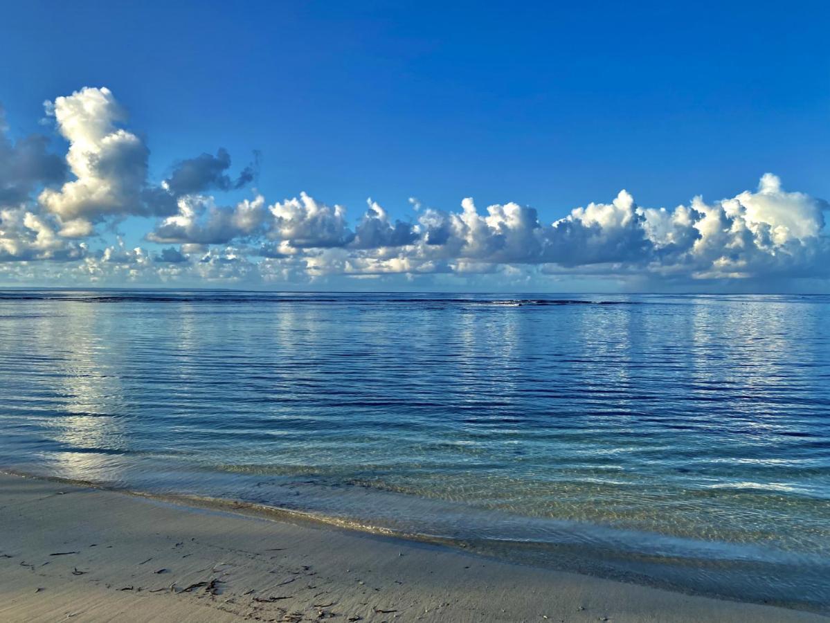 Le Paradis Zen 1Er Etage Et Rdc Vue Plage Et Mer Ste Anne サンタンヌ エクステリア 写真