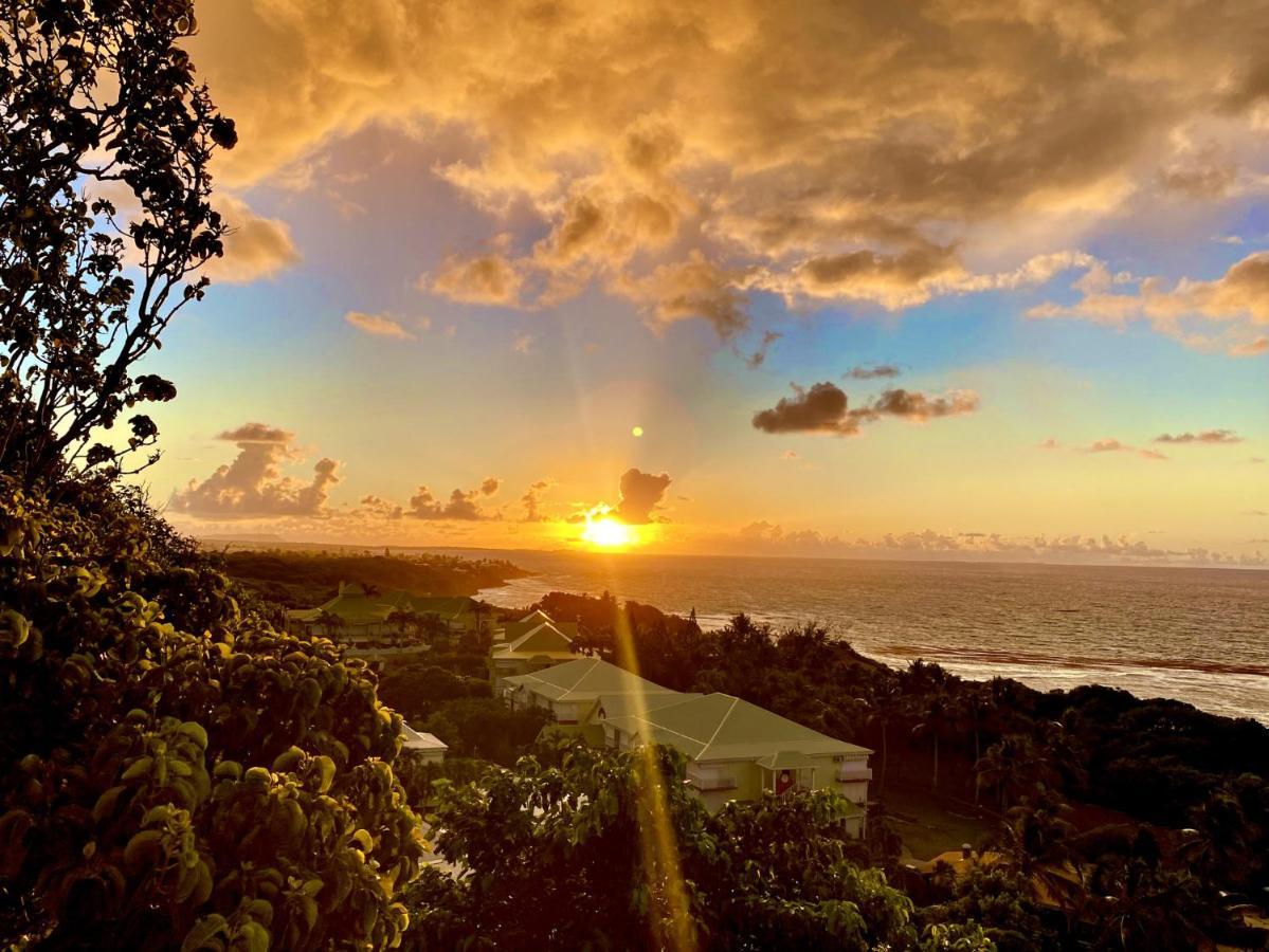 Le Paradis Zen 1Er Etage Et Rdc Vue Plage Et Mer Ste Anne サンタンヌ エクステリア 写真