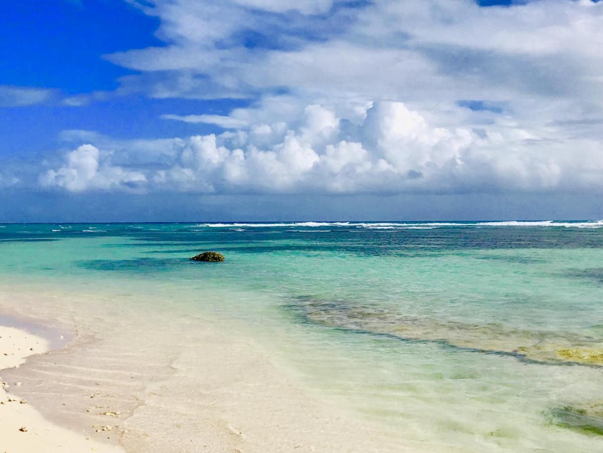 Le Paradis Zen 1Er Etage Et Rdc Vue Plage Et Mer Ste Anne サンタンヌ エクステリア 写真